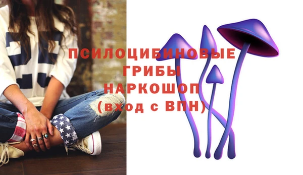 прущий лед Богородск