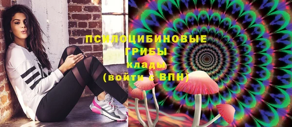 прущий лед Богородск