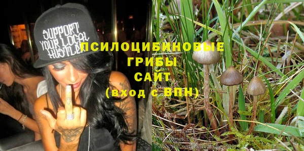 прущий лед Богородск
