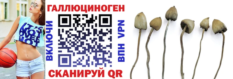 Псилоцибиновые грибы Psilocybe  как найти наркотики  Коряжма 